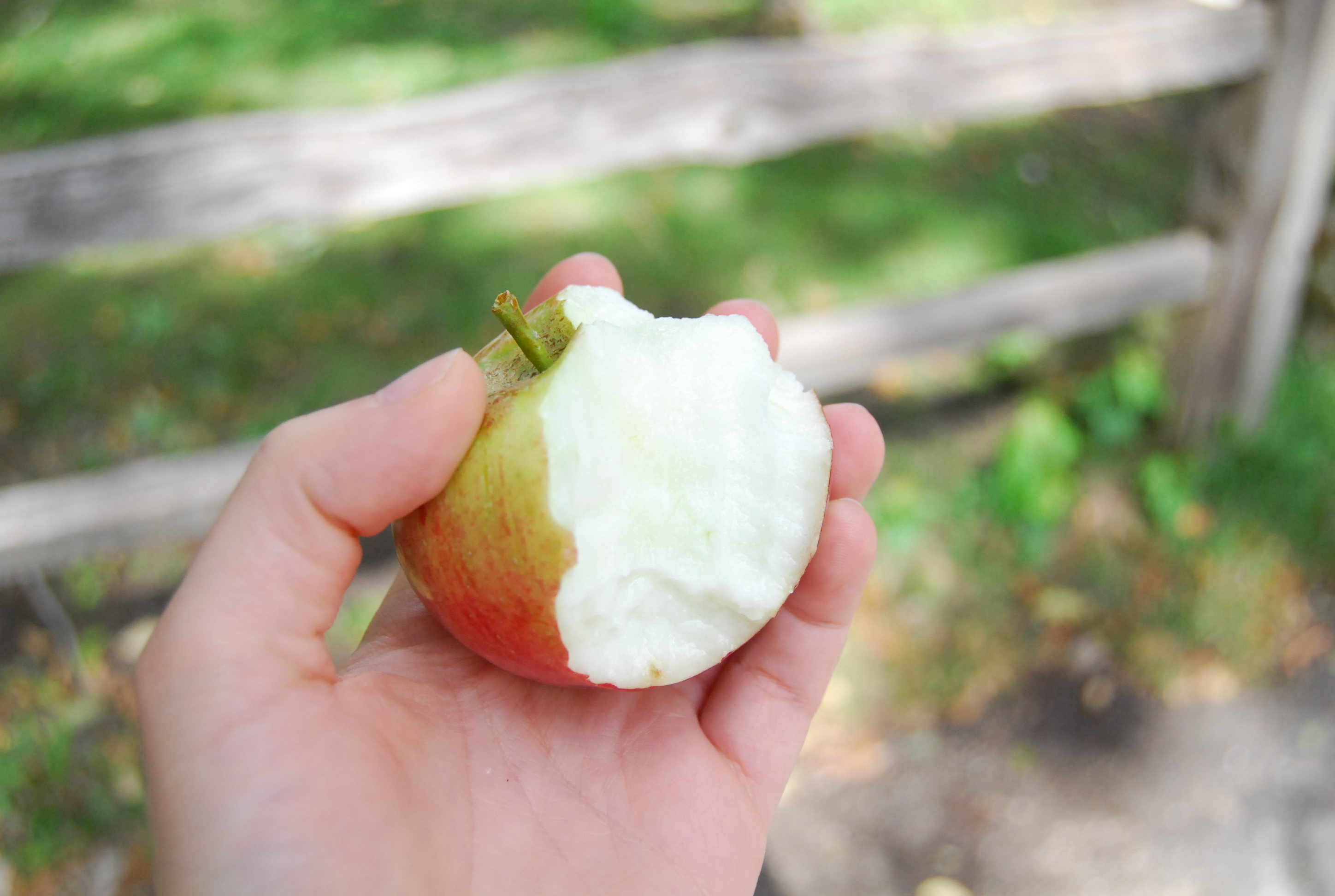 a bitten apple